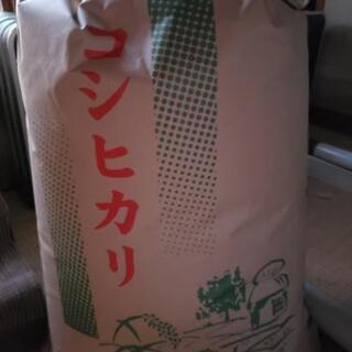 新米令和元年度産　一等米コシヒカリ30㎏