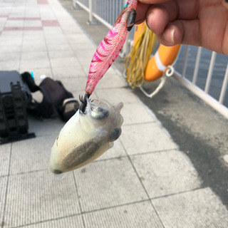 釣りオフ会報告