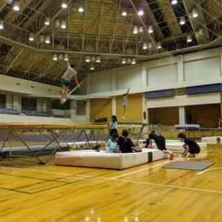 足立体操クラブ【器械体操・トランポリン 】の画像