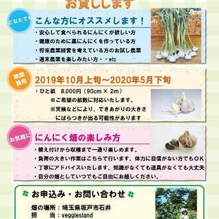 無農薬有機栽培のにんにく栽培体験しませんか？