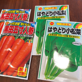 市民農園の農作業