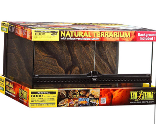 ジェックス グラステラリウム6030 PT2604 2つ目！ 12日まで