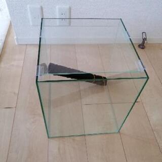 新品　水槽