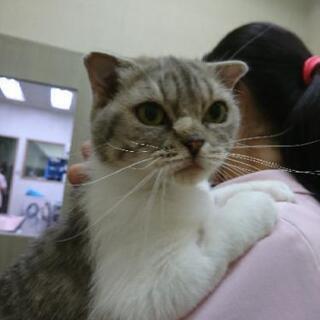 人が大好き、コハちゃんです。