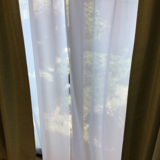 淡いグリーンのカーテン、レースカーテン付きパート2の画像