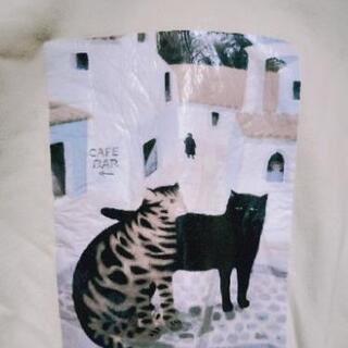 猫派必見!冬でも着れる厚めパーカー＊の画像