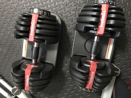 ワイルドフィット　アジャスタブルダンベル24kg　2個セット