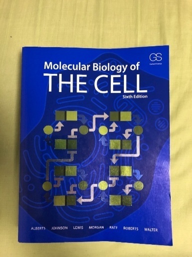 参考書 Molecular Biology of THE CELL 6th edition