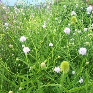 佐和菜で手相等お話ししませんか❗