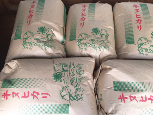 値下げ！令和4年！キヌヒカリ！新米！１俵（６０kg）