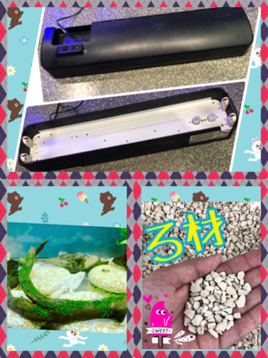 水槽セット！     12点！     金魚にもいかがでしょう？