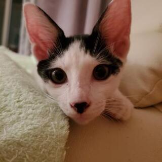 ☆わんぱくで甘えたな兄弟☆