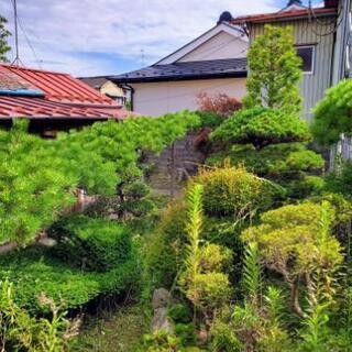 植木の剪定、宅地の除草、防草シート等