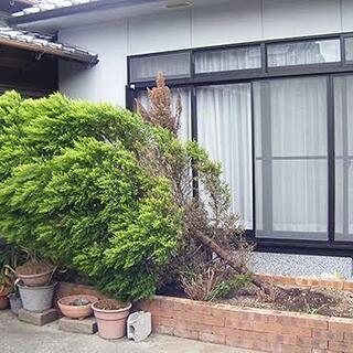 【応急処置します！】台風や突風、大雨などによる被害でお困りの方