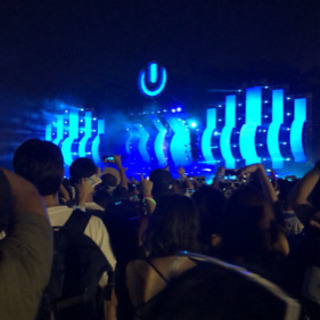 ultra Japan同行者募集