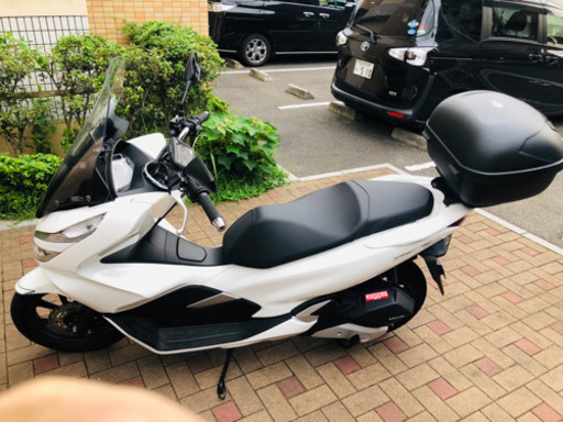 PCX2019年4月納車