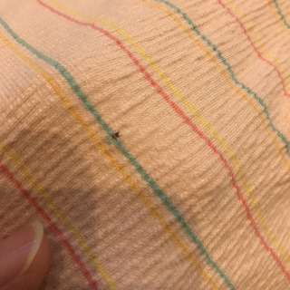 130㎝11着 の画像