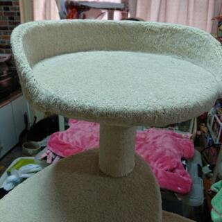 キャットタワーの画像