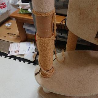 キャットタワーの画像