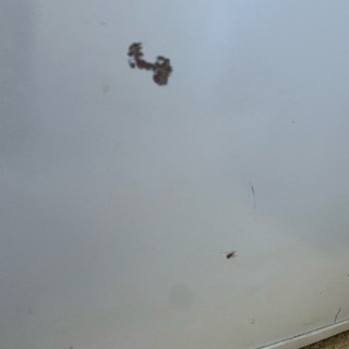 無料！1ドア冷蔵庫【MORITA MR-D05BC】中古の画像