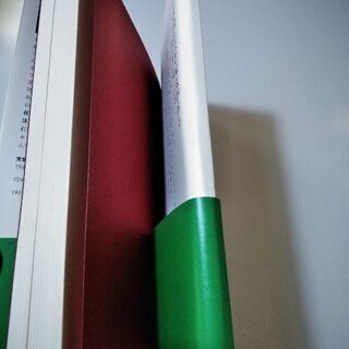 ISBN9784908493072本「国家が破錠しても人生は楽しい？」の画像