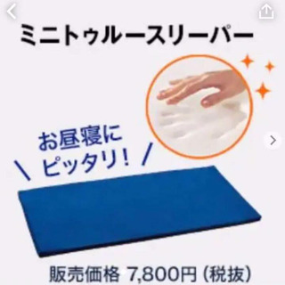 ［商談中］ミニトゥルースリーパー ごろ寝マット