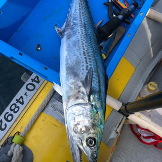 ミニボート釣り一緒に行きませんか？ - 友達