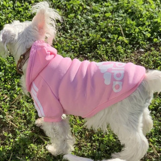 新品 犬服 ペット服  トレーナー パーカー ジャージ スウェット スエットの画像