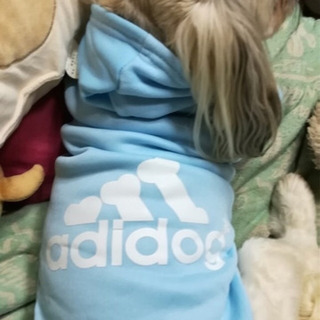 新品 犬服 ペット服  トレーナー パーカー ジャージ スウェット スエットの画像