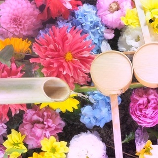 第31回 フォト活動 📸🌿🌆🌼🌈