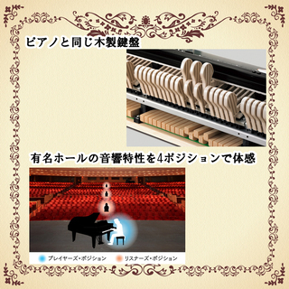 決算セール！　新品展示品特価！電子ピアノ　カシオGP-510　最高峰電子ピアノ　ドイツ　ベヒシュタイン　コラボの画像