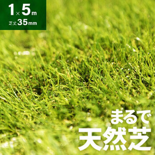 新品 人工芝