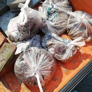 土　ブロック　レンガ　もらってください。の画像