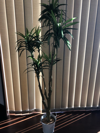 人工観葉植物