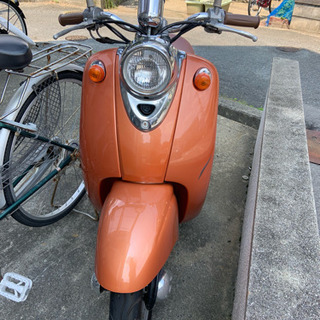 ビーノの画像