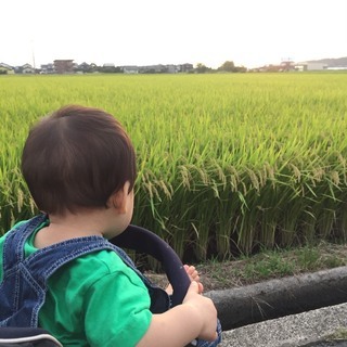 令和3年 島根の縁結び出雲！完全無農薬！コシヒカリ100%
