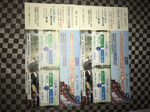 ナガシマスパーランド  フリーパスチケット