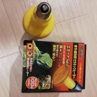 【受付終了】【中古】爬虫類用セラミックヒーター100w