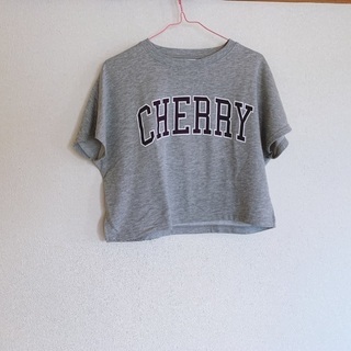 Tシャツ グレー アース earth music &ecology スウェットの画像