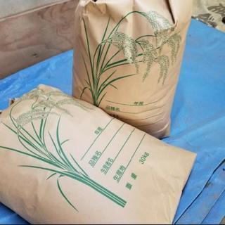 令和元年度茨城県産コシヒカリ３０ｋｇ