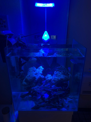 ※水槽セット→バラ売り