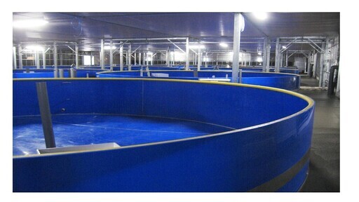 水槽をお譲りします。