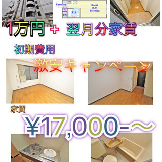 初期費用は1万円+翌月分家賃のみ
