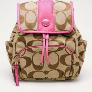 他のサイトで取引中‼️入手困難‼️【日本完売 COACH バッグ...