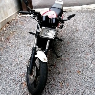 ＴＺＲ125　実働