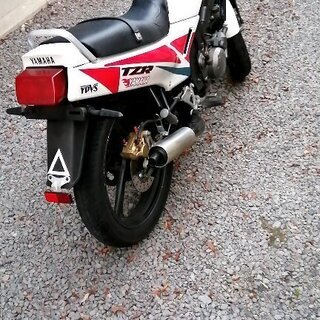 ＴＺＲ125　実働の画像