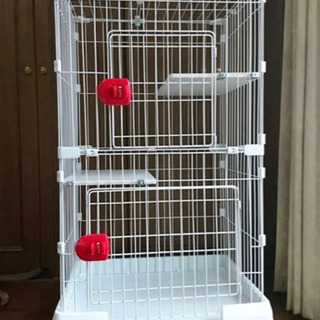 【ご予約受付中】キャットゲージ 美品の画像