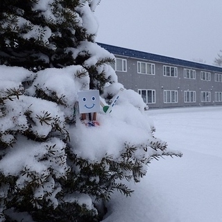 臨時職員募集（主婦の方活躍中・未経験者歓迎）の画像