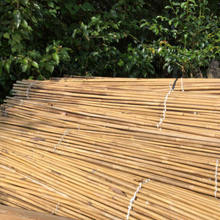 竹棚(みかん貯蔵用)