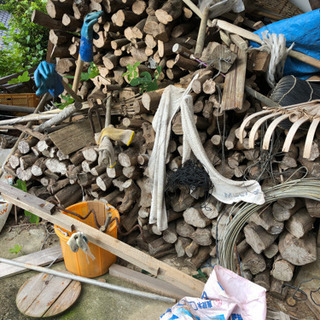 薪(みかんの木)